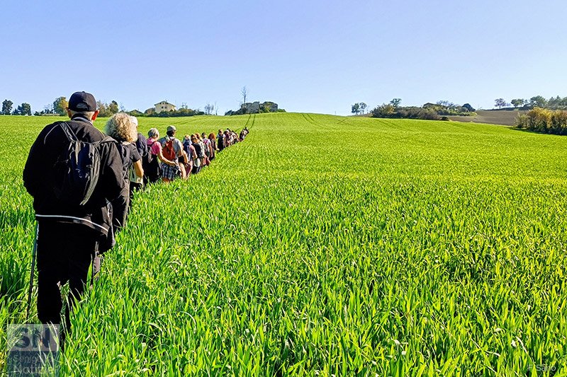 25/04/2026 - Scampagnata