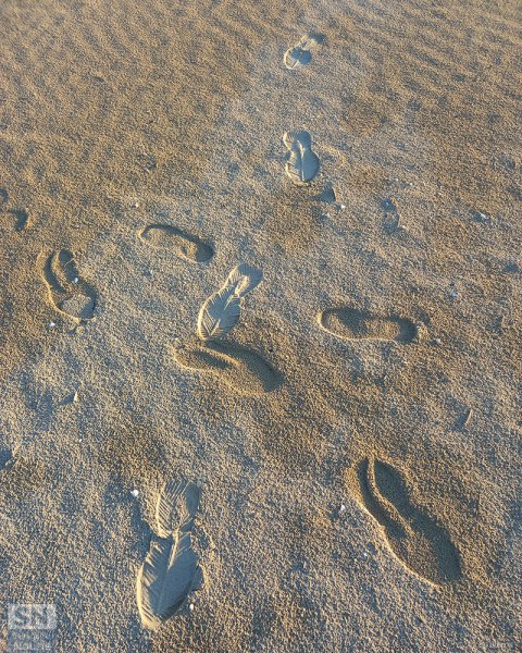 27/04/2026 - Per dove?