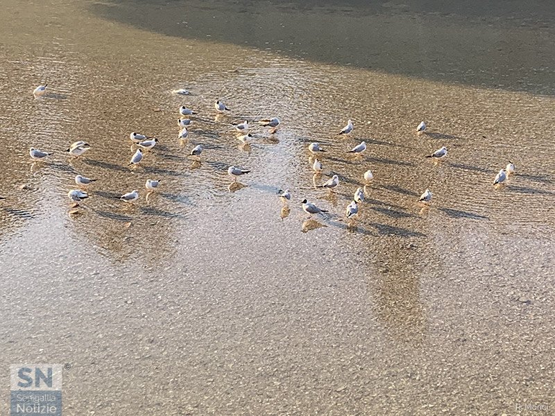 28/04/2026 - Misa affollato