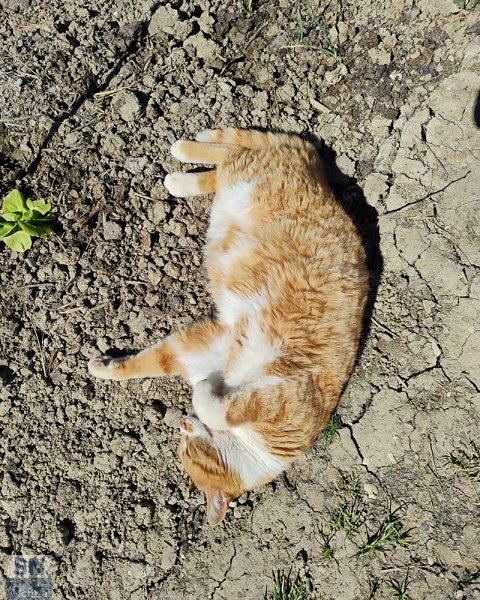 29/04/2026 - Per Red inizia la stagione balneare