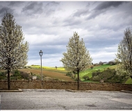 01/04/2026 - Primavera tra le mura