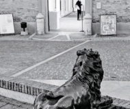 03/04/2026 - Il leone e il palazzetto Baviera