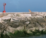 05/04/2026 - Un faro... da ammirare