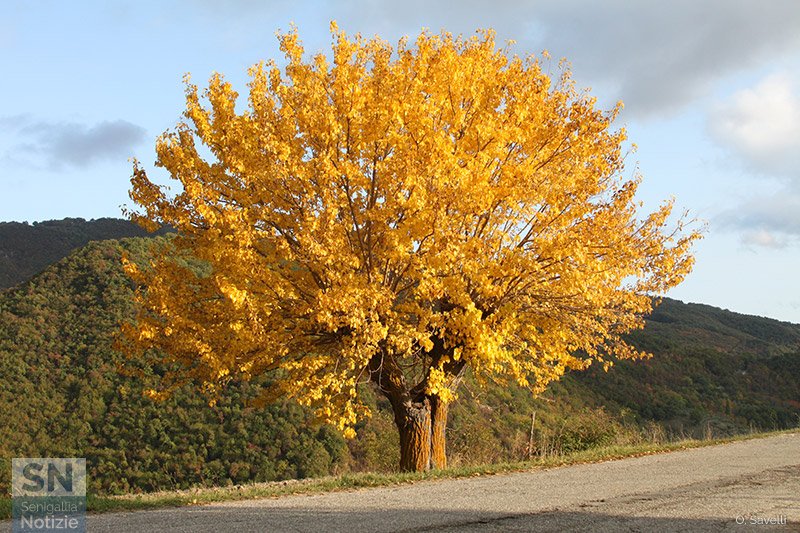 17/12/2020 - Sole al tramonto