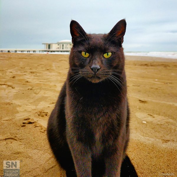 18/12/2020 - Sguardi