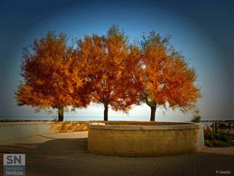 20/12/2020 - Autunno al mare