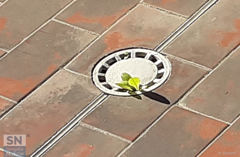 27/12/2020 - Resilienza