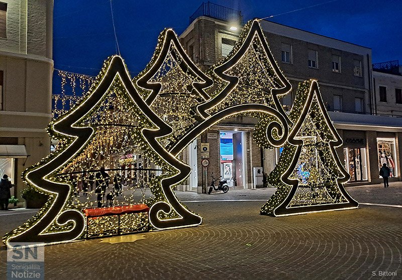 14/12/2024 - Magia... Alberi in piazza!