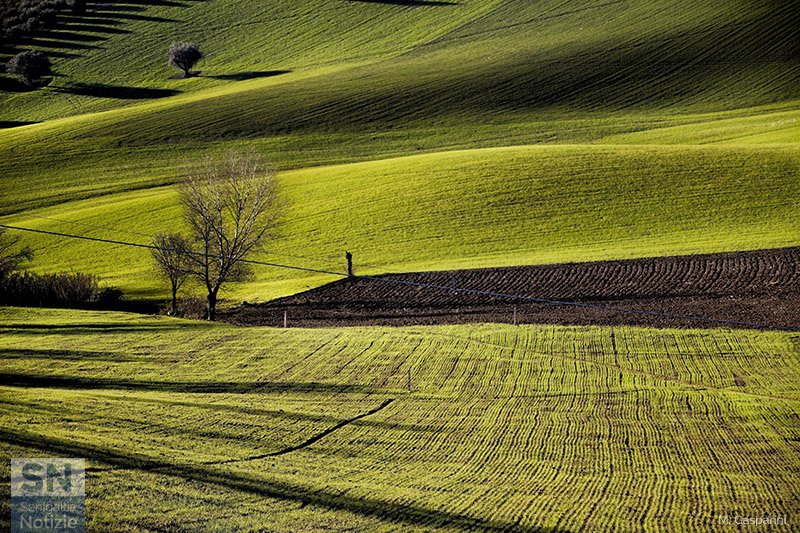 03/02/2021 - Luci e ombre