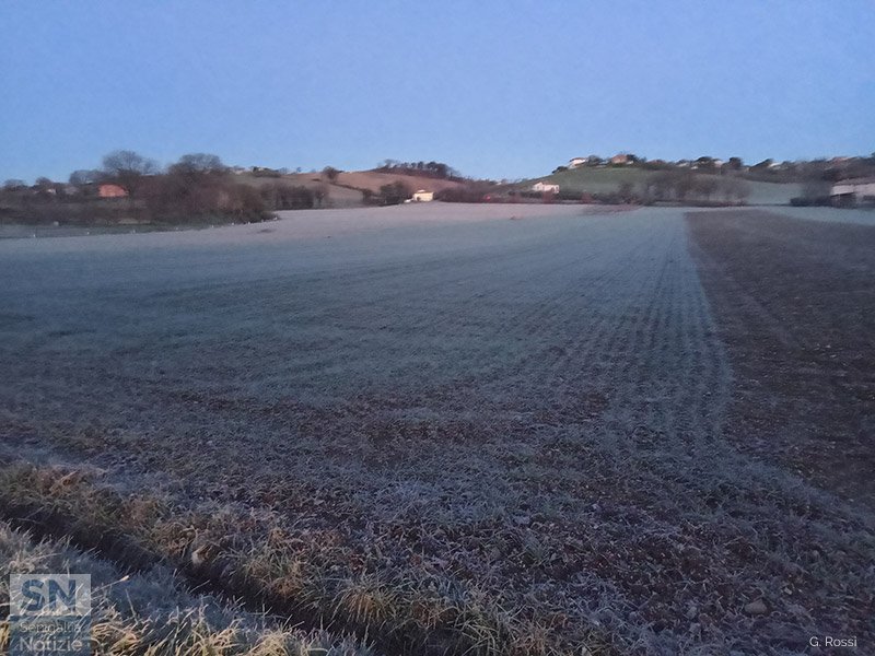 13/02/2021 - Brina sul fondovalle corinaldese