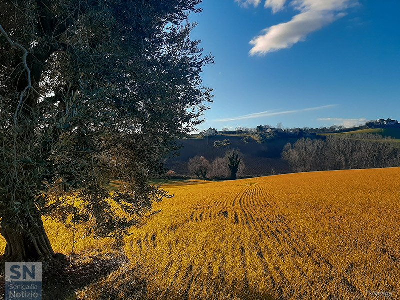 15/02/2021 - Vedute di campagna