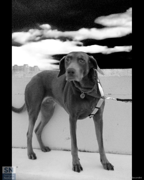 15/02/2026 - Zoe al porto