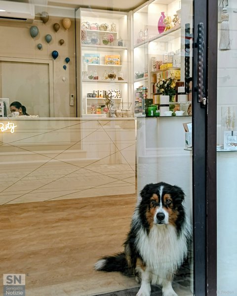 23/02/2026 - In vetrina