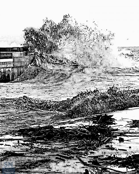 04/01/2021 - Mare soffocato