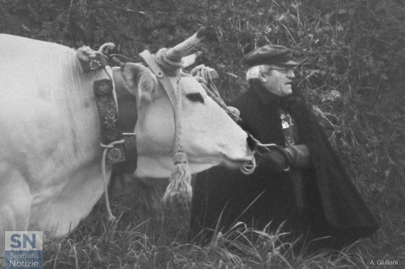 06/01/2021 - Una vecchia Pasquella