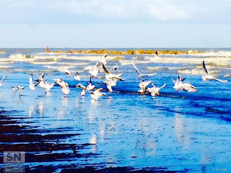 09/01/2021 - Rinascita