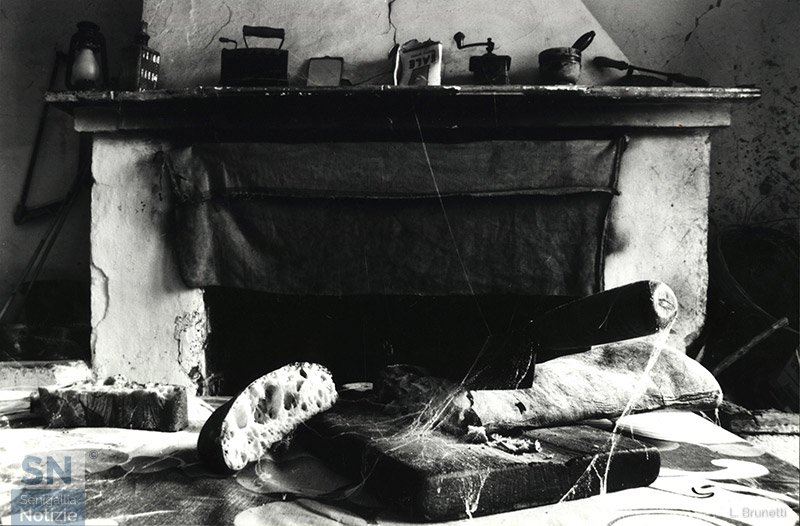 11/01/2021 - Forme logore