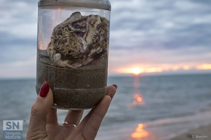 12/01/2021 - La spiaggia in un vasetto