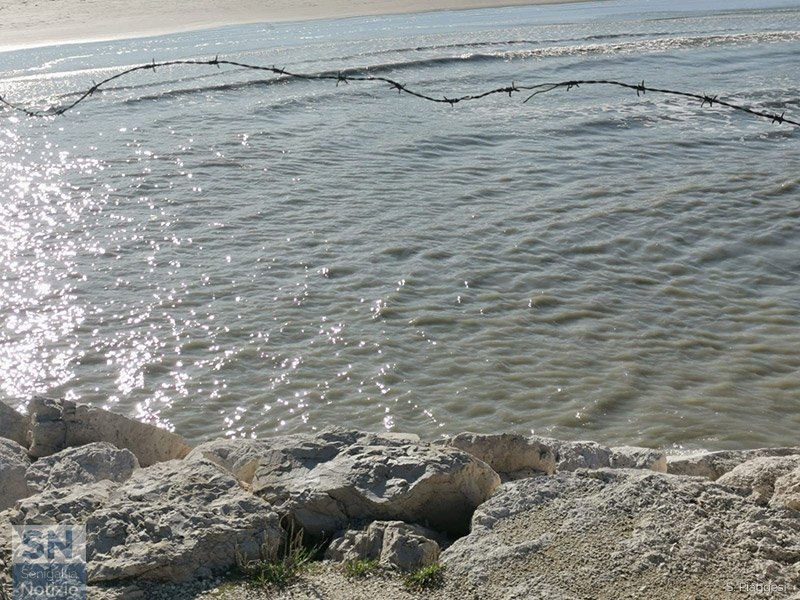 18/01/2021 - Filo spinato