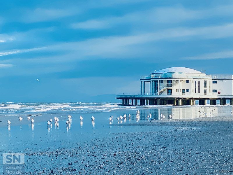 20/01/2021 - Riposo dopo il volo