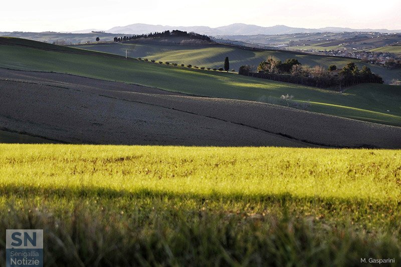 31/01/2021 - Colline senigalliesi