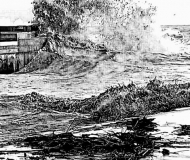 04/01/2021 - Mare soffocato