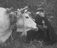 06/01/2021 - Una vecchia Pasquella