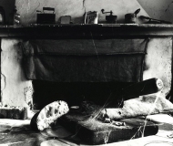 11/01/2021 - Forme logore