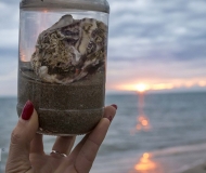 12/01/2021 - La spiaggia in un vasetto