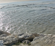 18/01/2021 - Filo spinato