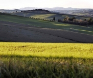 31/01/2021 - Colline senigalliesi