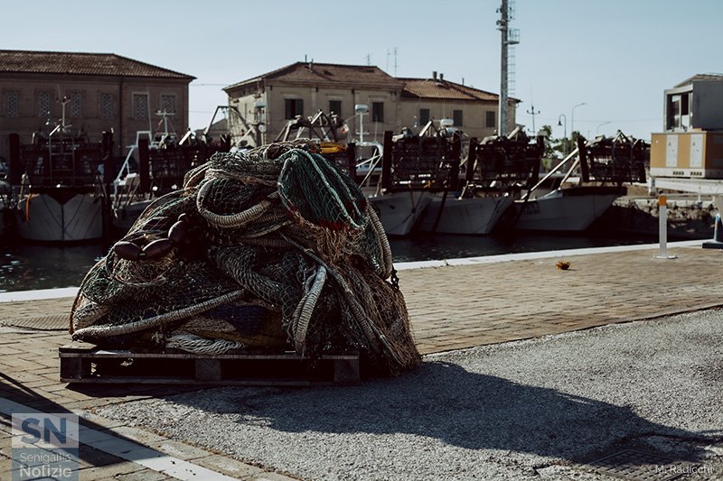 29/01/2023 - Quelle reti al porto