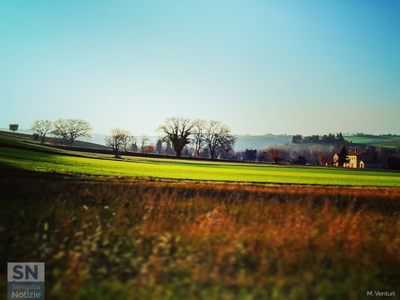 30/01/2023 - Campi d'inverno