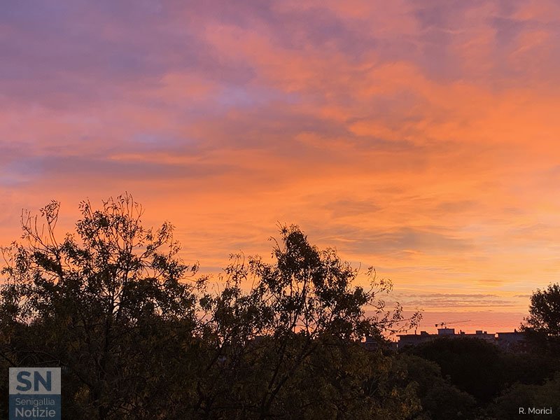 29/01/2024 - Alba multicolor