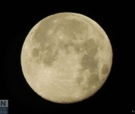 11/01/2024 - La Luna di fine anno
