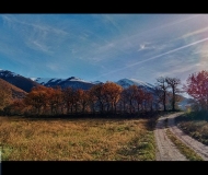 03/01/2026 - La magia dei colori