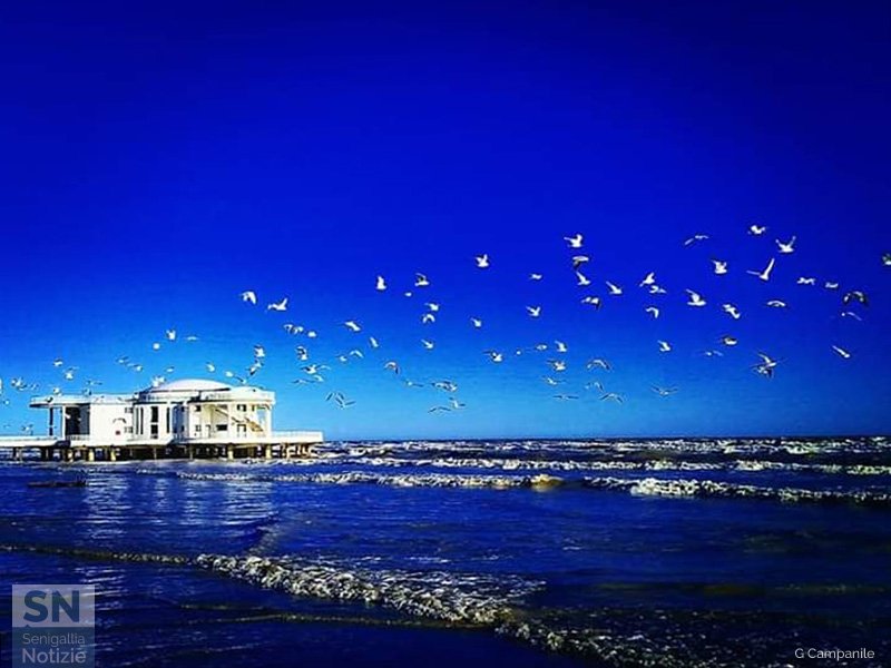 06/06/2020 - Volo nell'azzurro