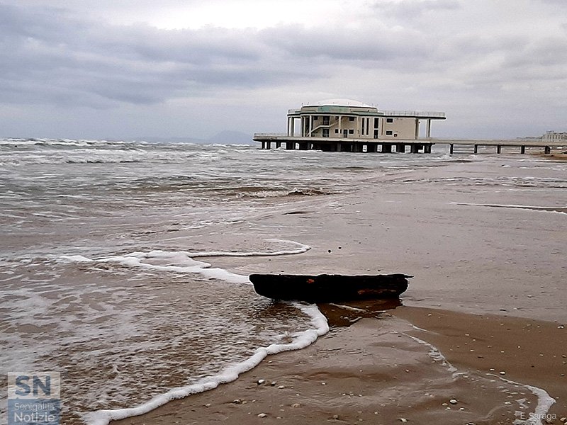07/06/2020 - Portato a riva
