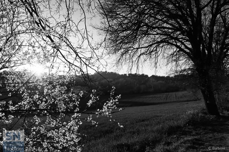 17/06/2020 - La primavera che sboccia