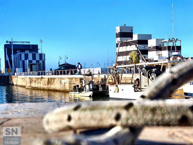 20/06/2020 - Banchina nella darsena