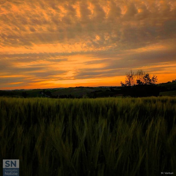 21/06/2020 - L'estate