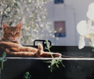 10/06/2020 - Purezza