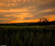 21/06/2020 - L'estate