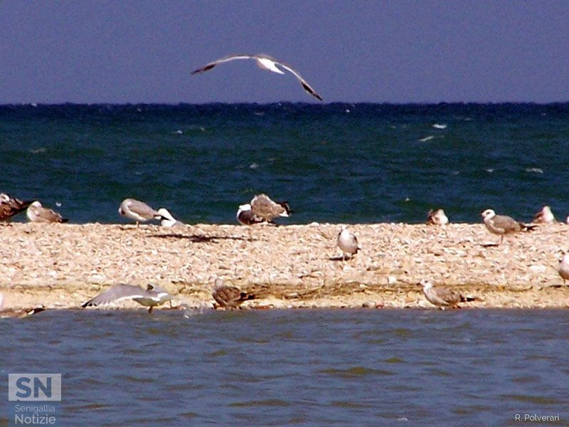 01/06/2024 - Buon viaggio