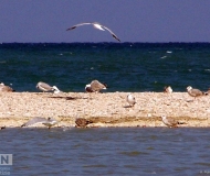 01/06/2024 - Buon viaggio