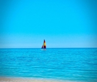 02/06/2024 - Navigando