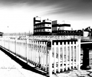 27/06/2024 - Passerella