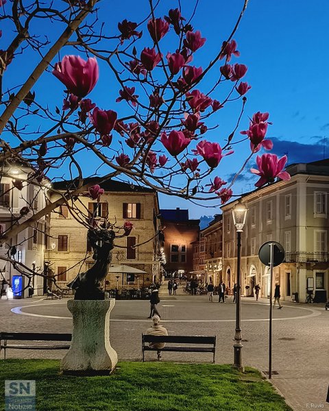 01/06/2025 - Primavera in piazza Saffi
