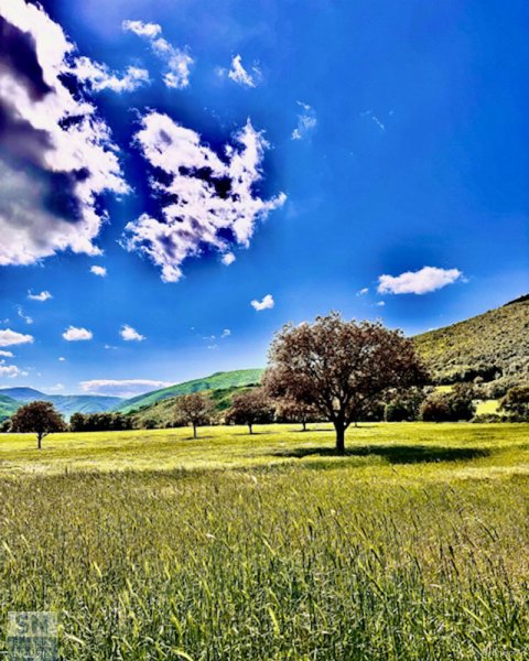 07/06/2025 - Solitario ma bellissimo...