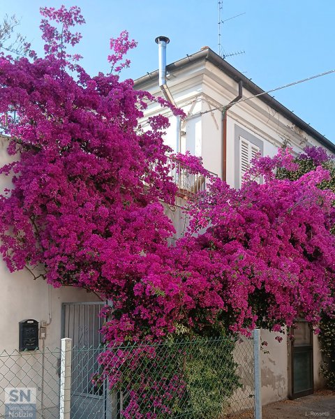 21/06/2025 - Estate mediterranea